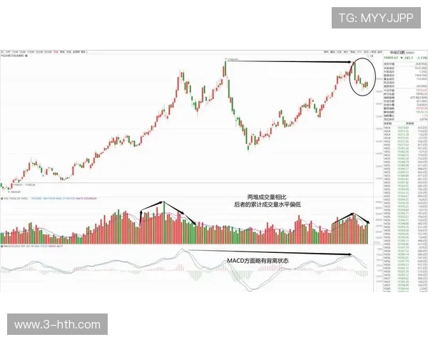 杭州与重庆足球队赛后技术分析与战术复盘探讨